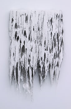 fabienne lasserre