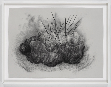 fabienne lasserre