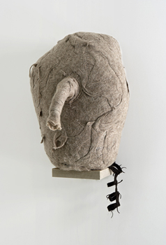 fabienne lasserre